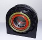 Central Support Bearing