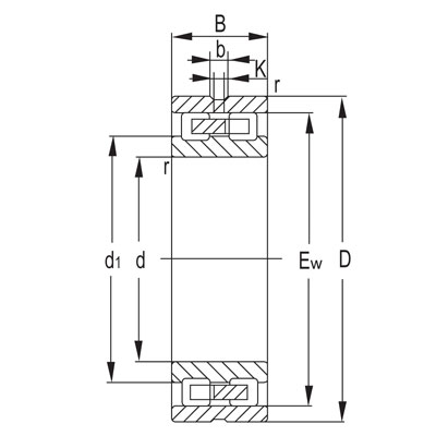rolling mill bearing, double-row cylindrical roller bearing, roller bearing, cylindrical roller bearing